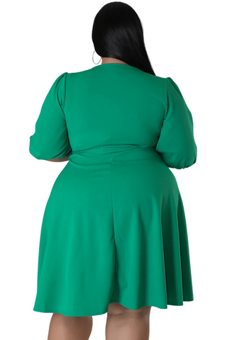 Final Sale Plus Size Faux Wrap Skater Dress in Green