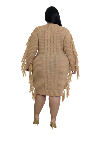 Final Sale Plus Size Fringe Sweater Dress in Tan