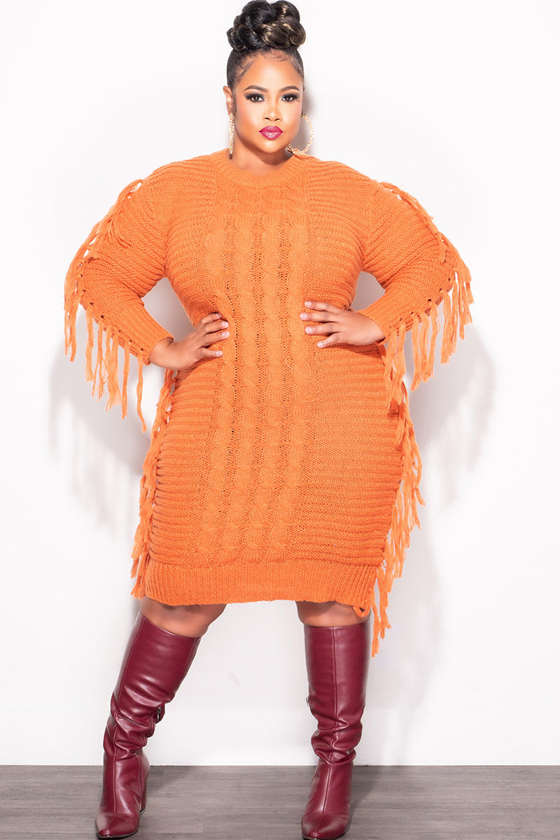 Final Sale Plus Size Fringe Sweater Dress in Burnt Orange – Chic