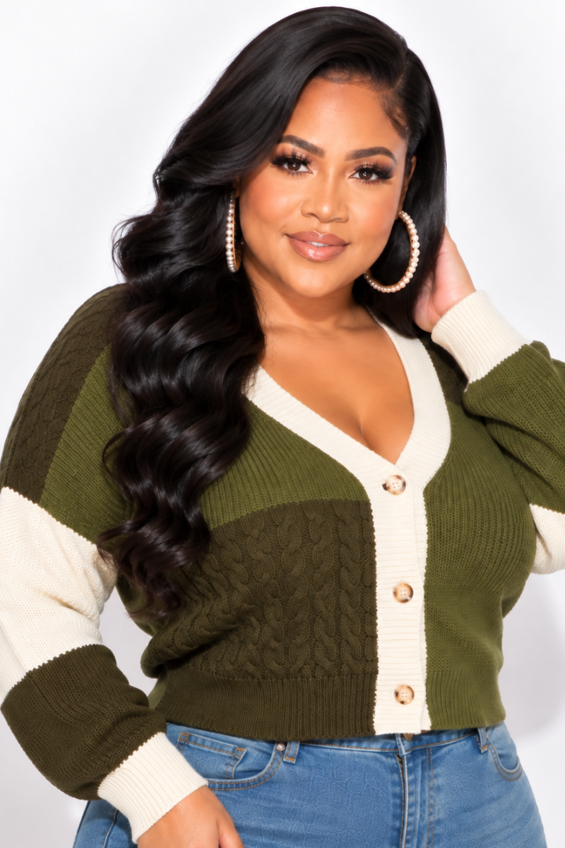 Final Sale Plus Size Cropped Color Block Sweater in Olive