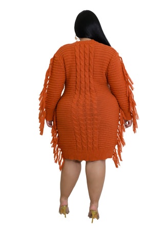 Final Sale Plus Size Fringe Sweater Dress in Burnt Orange