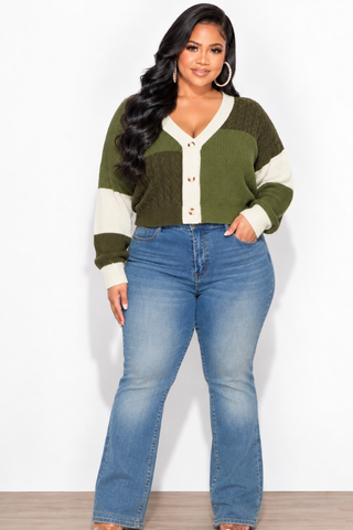Final Sale Plus Size Cropped Color Block Sweater in Olive