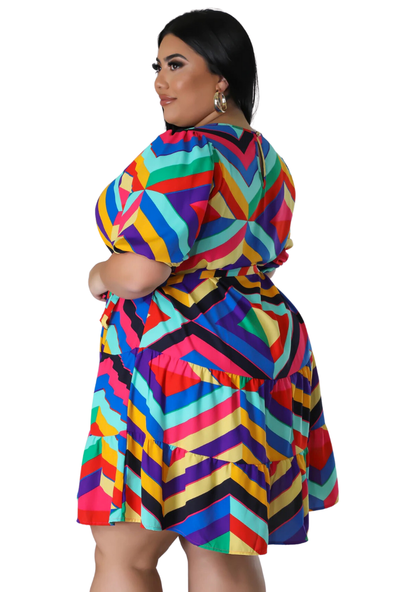 Final Sale Plus Size Skater Dress in Multi-Color Print