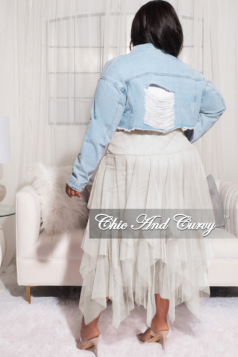 Final Sale Plus Size Tulle Multi Layered Mesh Skirt in Ivory
