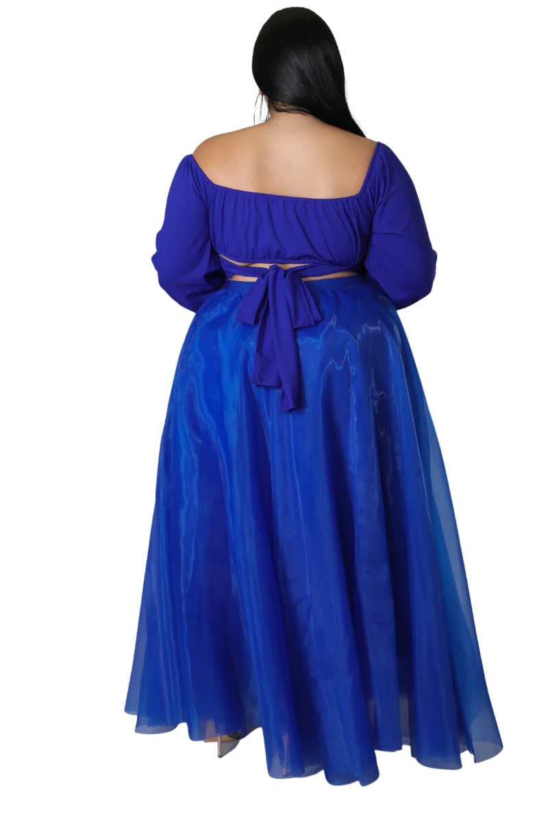 Final Sale Plus Size Maxi Tulle Tutu Skirt in Royal Blue (SKIRT ONLY) - 3x 22 Final Sale Plus Size Maxi Tulle Tutu Skirt in Royal Blue (SKIRT ONLY) - 3x 22