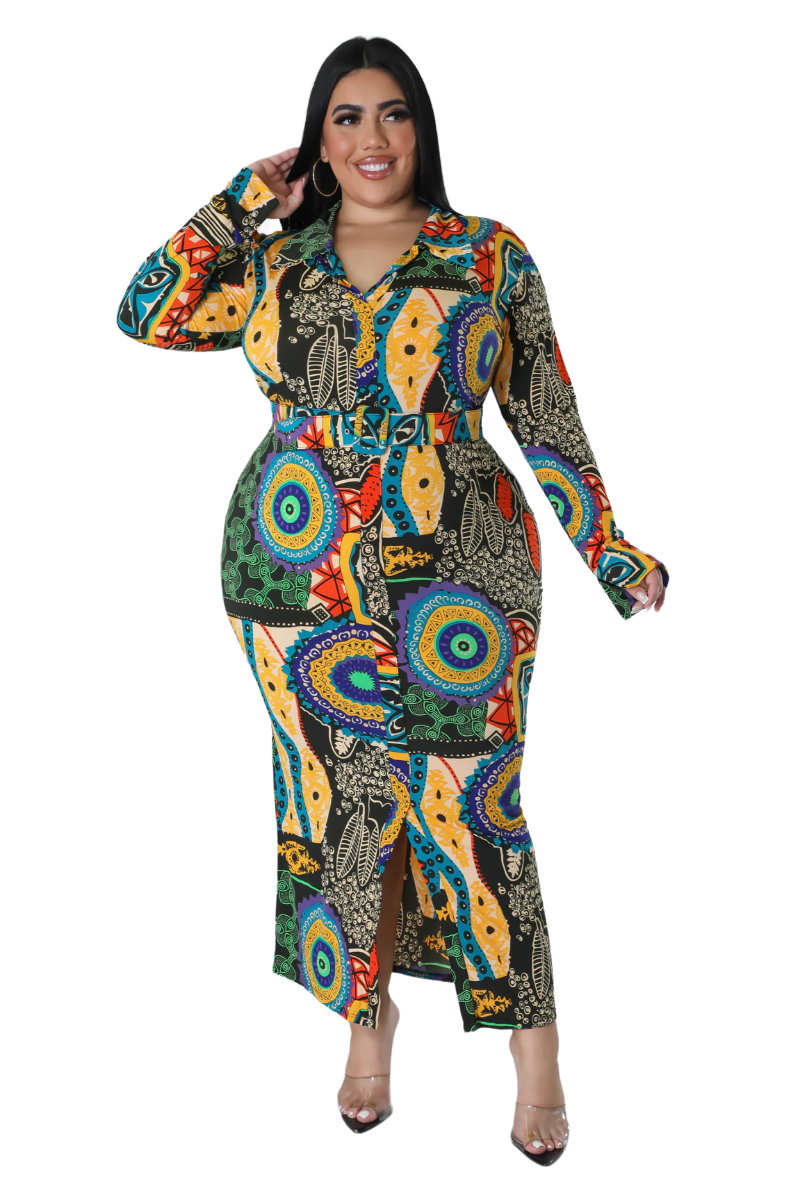 Final Sale Plus Size Collar Dress in Multi Color Design Print