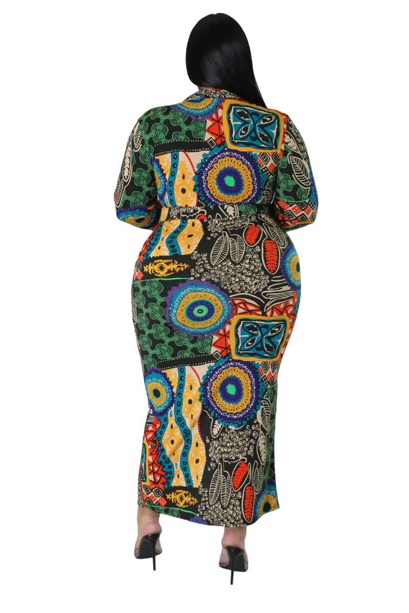 Final Sale Plus Size Collar Dress in Multi Color Design Print