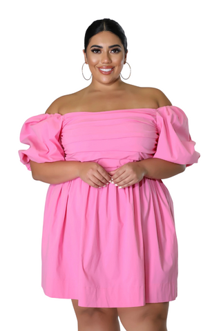 Final Sale Plus Size Half Crown Sleeve Sheering Front Ruffle Mini Dress in Pink