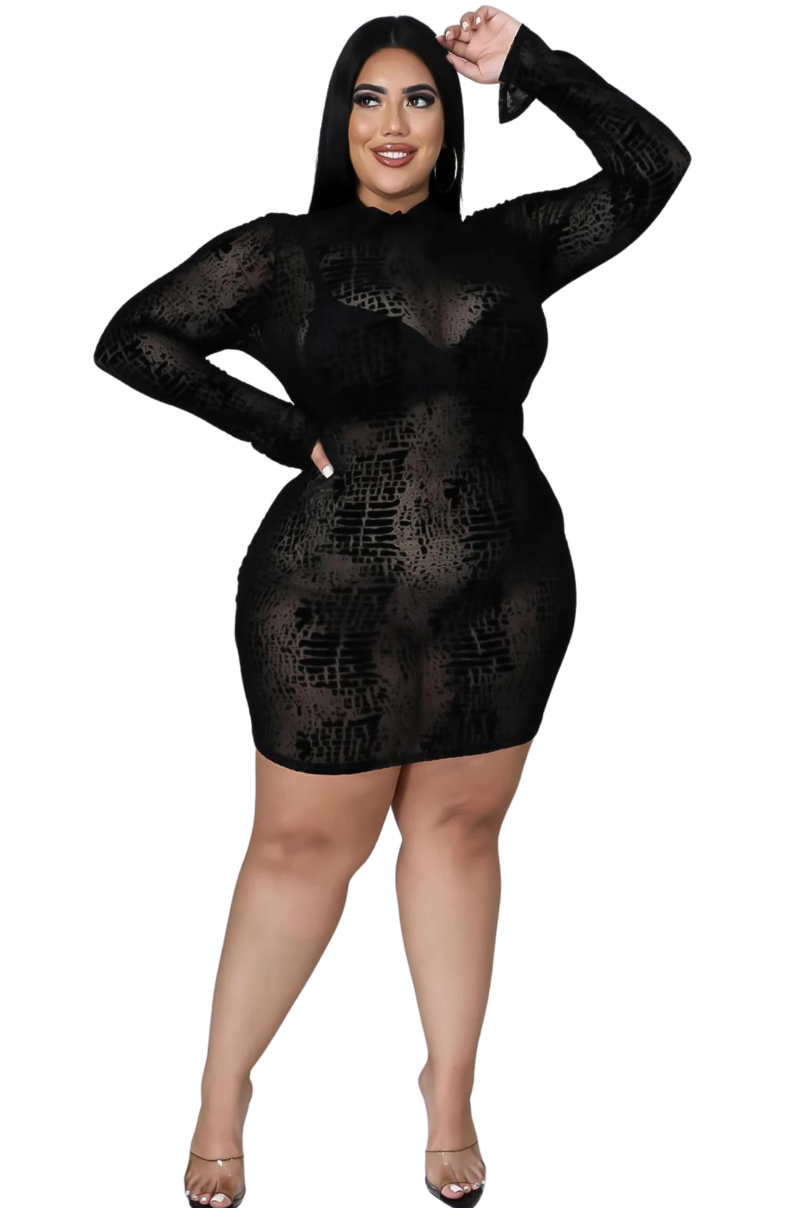 Final Sale Plus Size Sheer Mesh Mini Bodycon Dress in Black Summer