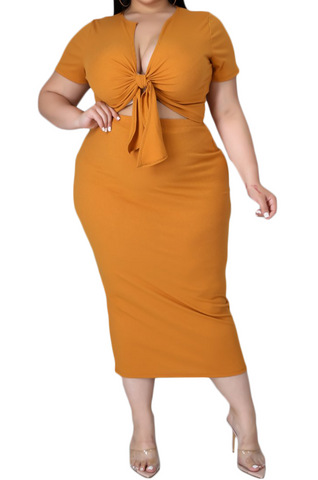Final Sale Plus Size 2pc Set Tie Cropped & Skirt in Camel