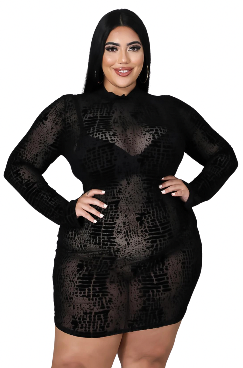 Black sheer mesh bodycon top dress