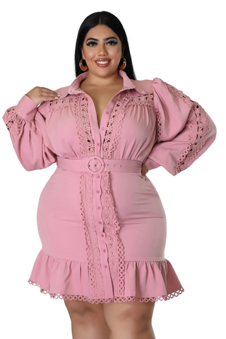 Final Sale Plus Size Collar Button Up Dress with Ruffle Bottom in Mauve