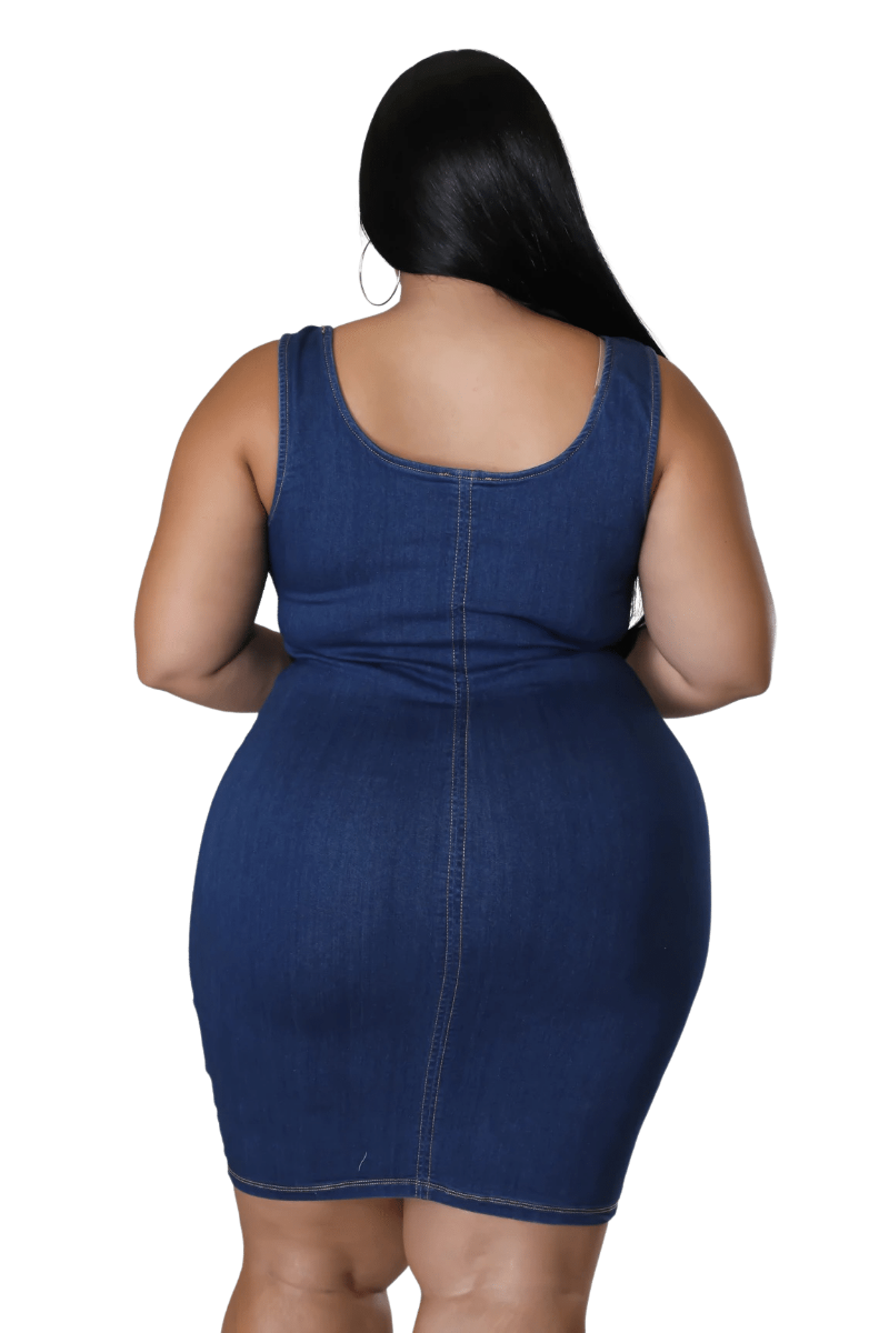 Standards & Practices Women's Plus Ruffle Sleeveless A-line Midi Denim Dress  | Southcentre Mall